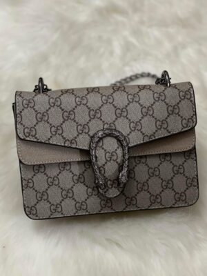 img_8659 Sac Gucci grand ( model mini )