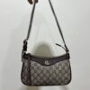 Sac Gucci