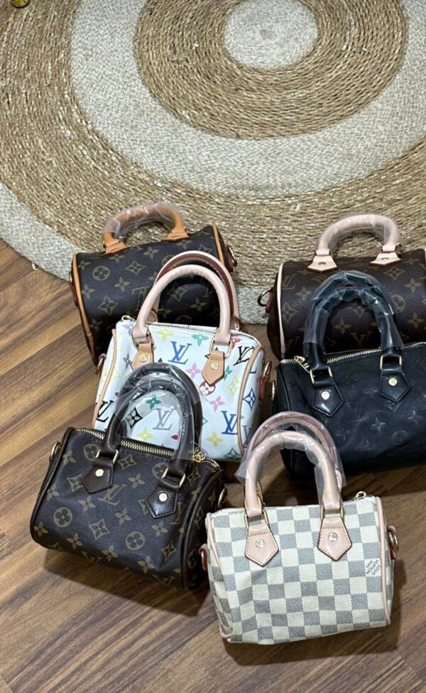 img_1470 Sac Louis Vuitton